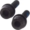 Campagnolo® Campagnolo Rear Disc Brake Mount Screws (10-14mm)
